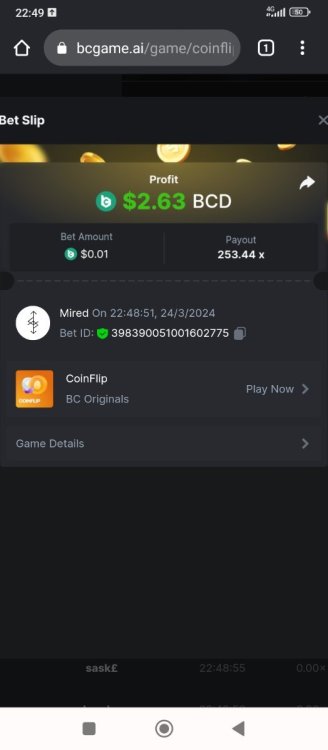 Screenshot_2024-03-24-22-49-12-038_com.android.chrome.jpg